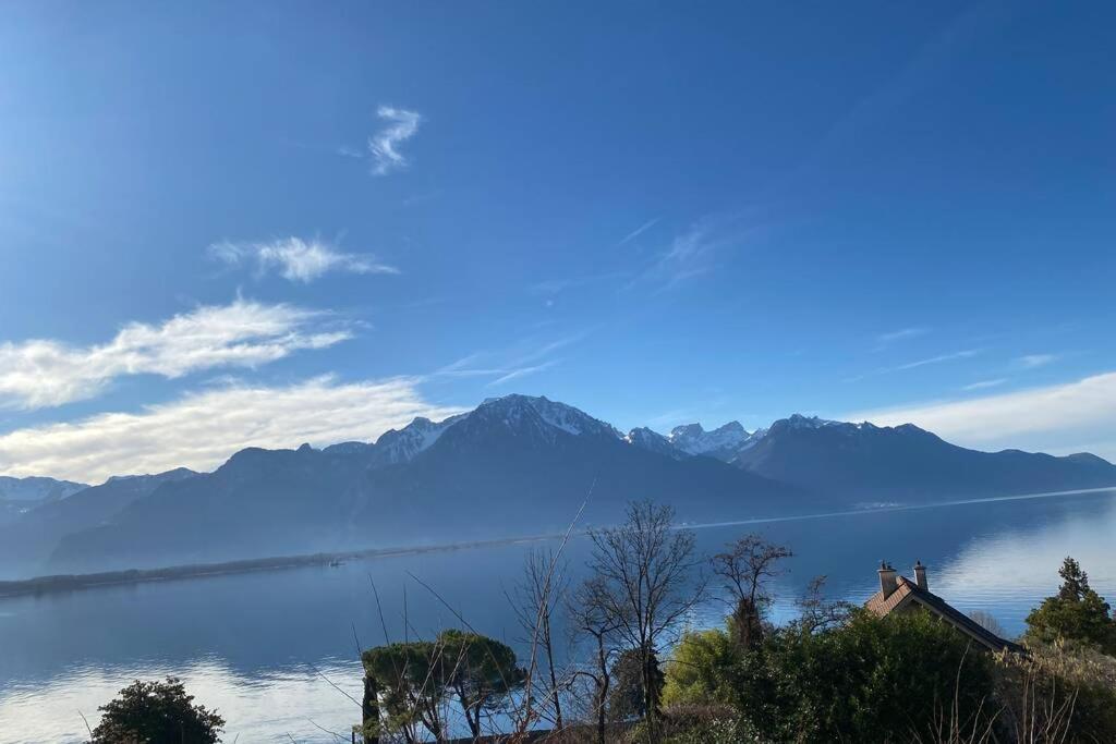 Studio Vue Panoramique Sur Le Lac Leman Veytaux Екстер'єр фото